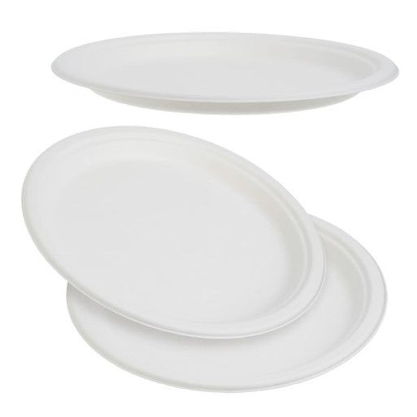 Dlt Pls 10" Bagasse Plates 6 Pk